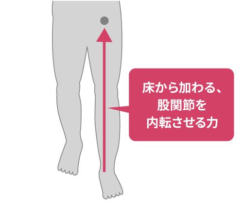 床から加わる、股関節を内転させる力を示した図