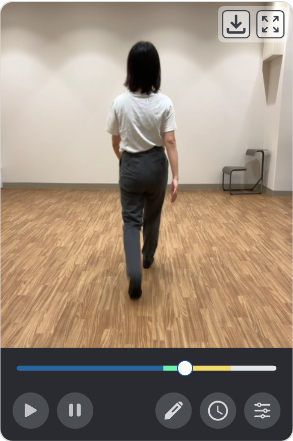 歩行動画のみを表示した状態