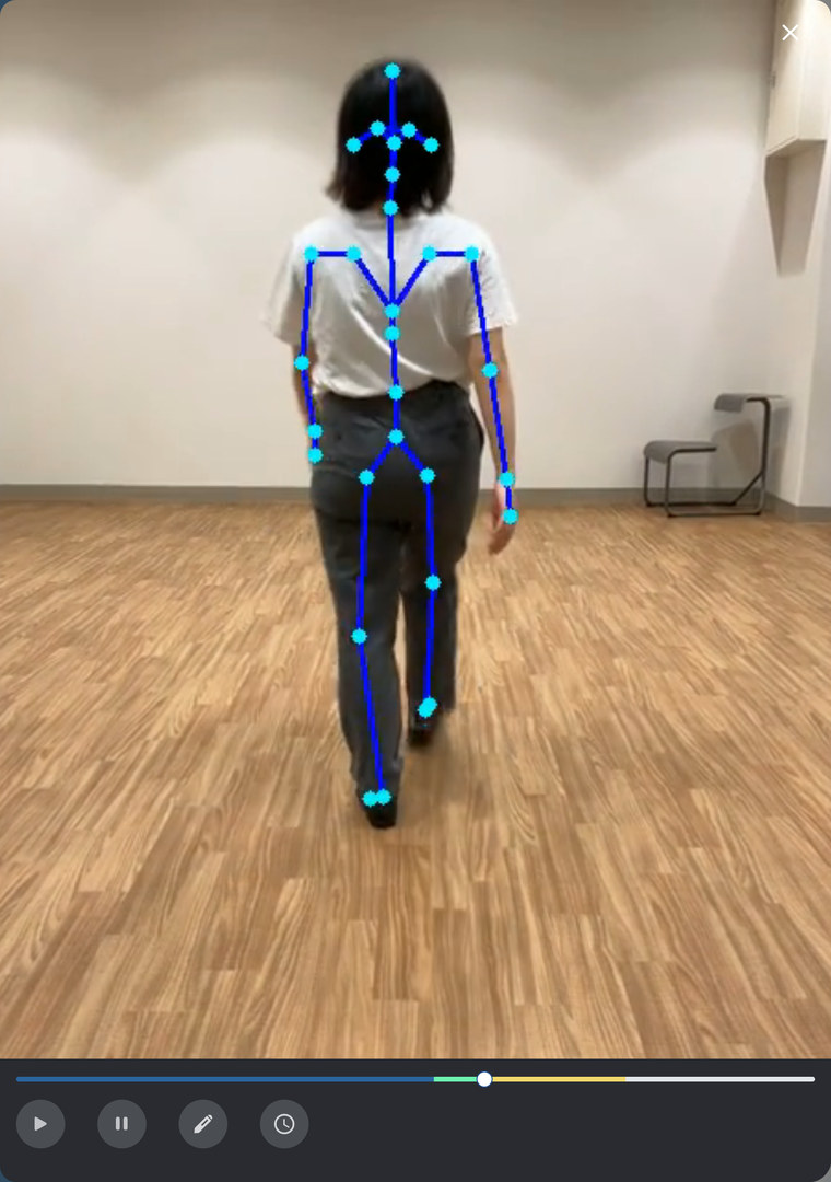 歩行動画に骨格を重ねたスティックピクチャー