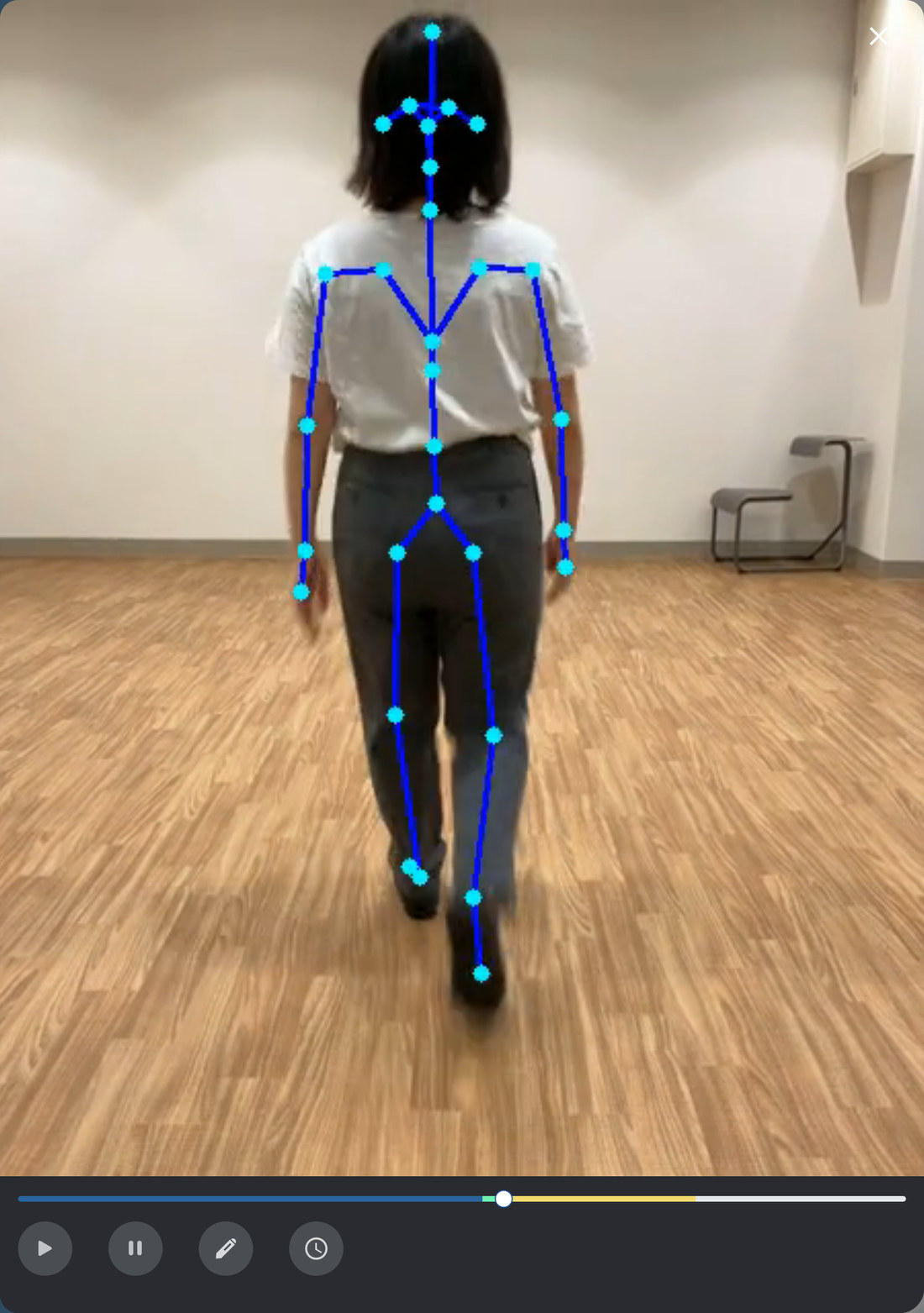 歩行動画をスティックピクチャーで表示した画面